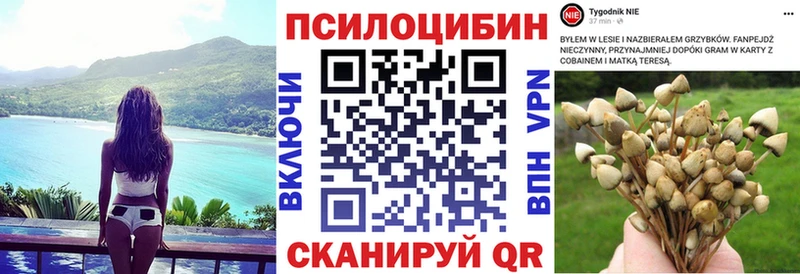 Псилоцибиновые грибы GOLDEN TEACHER  Кудрово 
