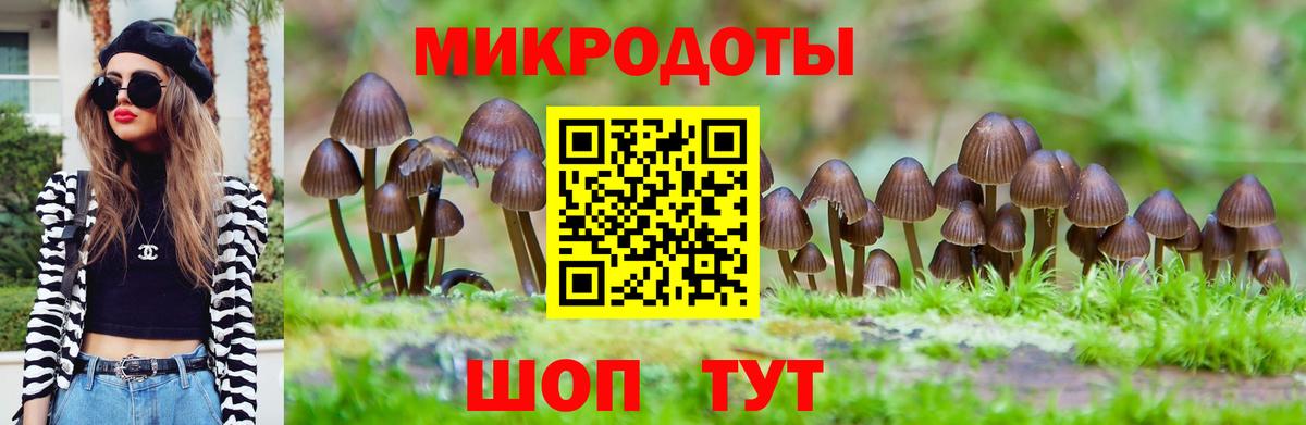 купить наркоту  Вход с VPN  Кудрово  Псилоцибиновые грибы мицелий 
